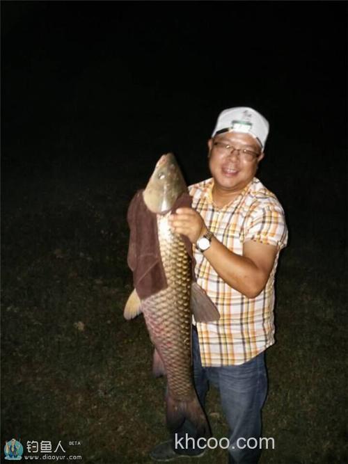 自制酒糟玉米粒水库手竿狂钓30斤大草鱼