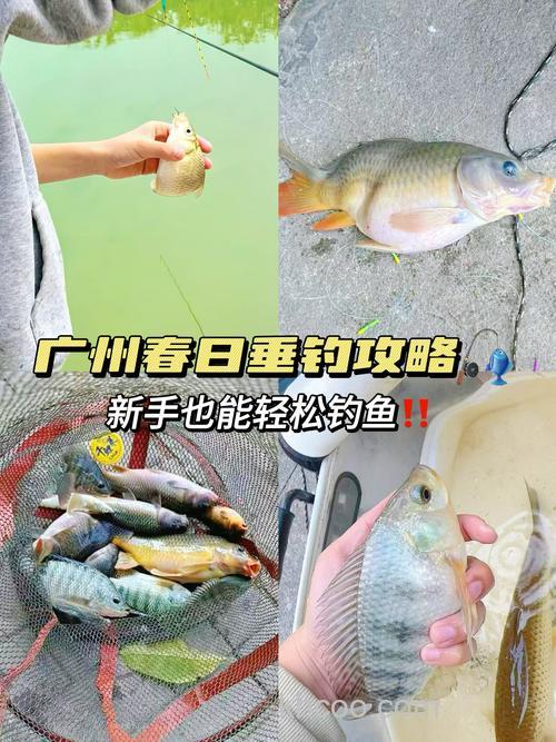 请教版主及各位广东的钓友