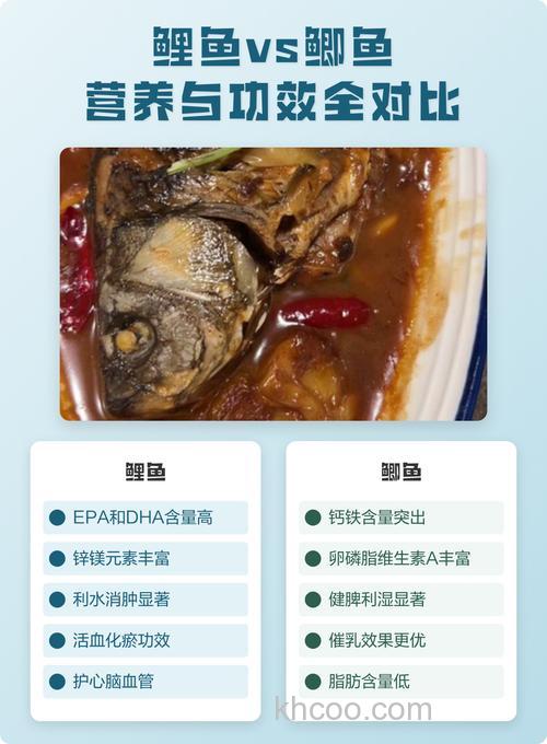 鲤鱼和鲫鱼哪个营养更丰富？