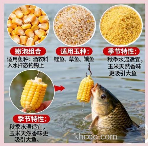 嫩玉米与商品饵怎么混合使用？