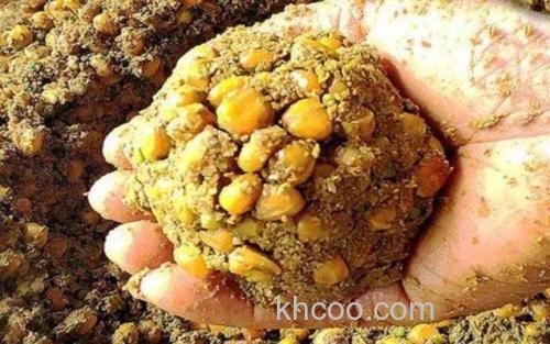 打窝料用红糖好还是用白糖好