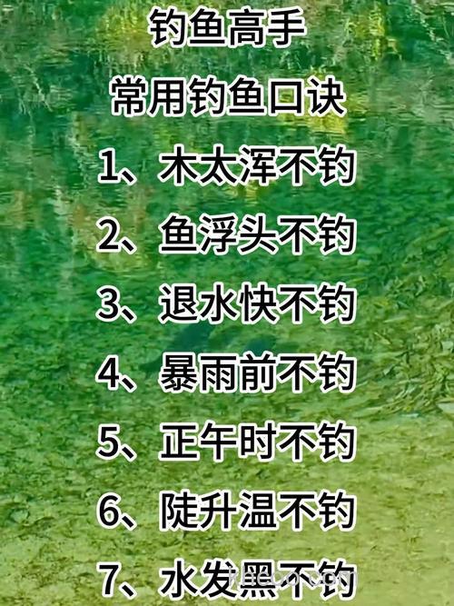 怎样才能钓到大鲤鱼?钓鲤鱼口诀有哪些？