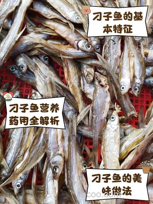 钱塘江钓子鱼用什么饵料？