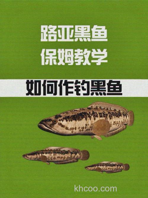 路亚黑鱼怎么钓？难就难在如何知道鱼口好的时间