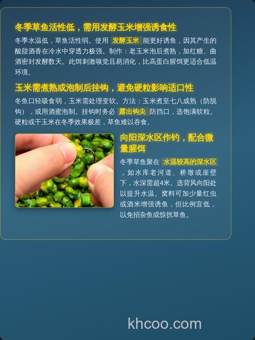 草鱼吃玉米粉吗？