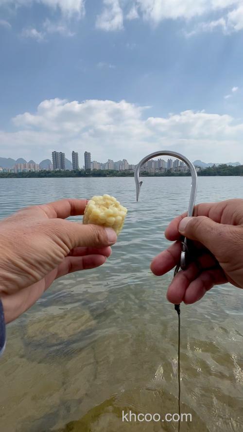 水库用玉米面钓鲤鱼?