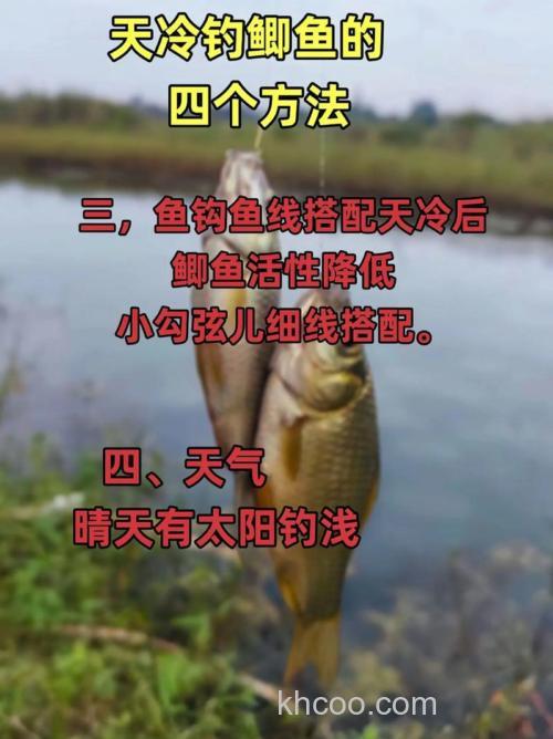 天冷后大鱼还能钓吗？天冷后怎么钓大鱼？