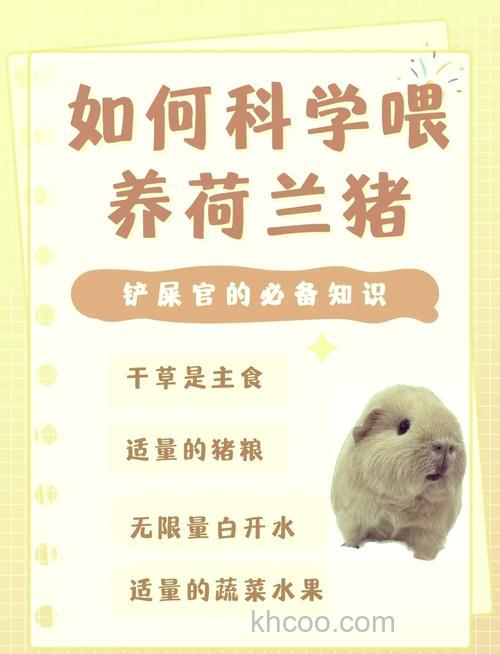 养猪如何配饲料？