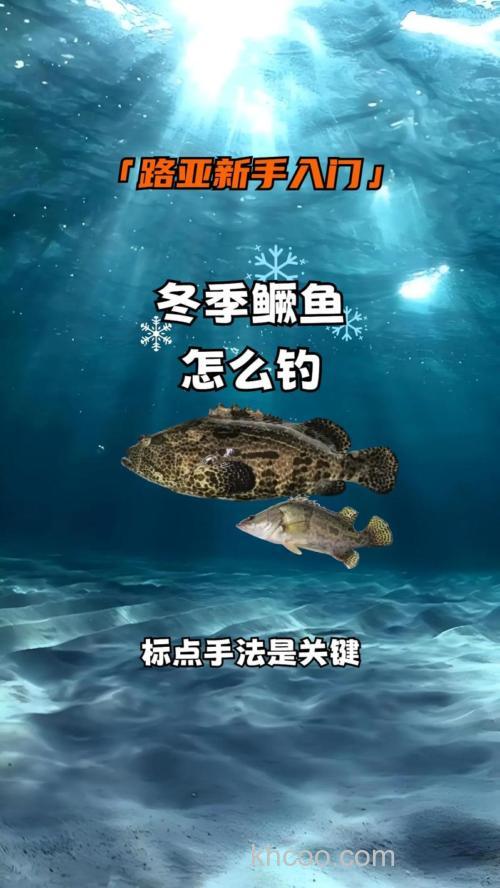 钓桂花鱼的五个钓法技巧分享