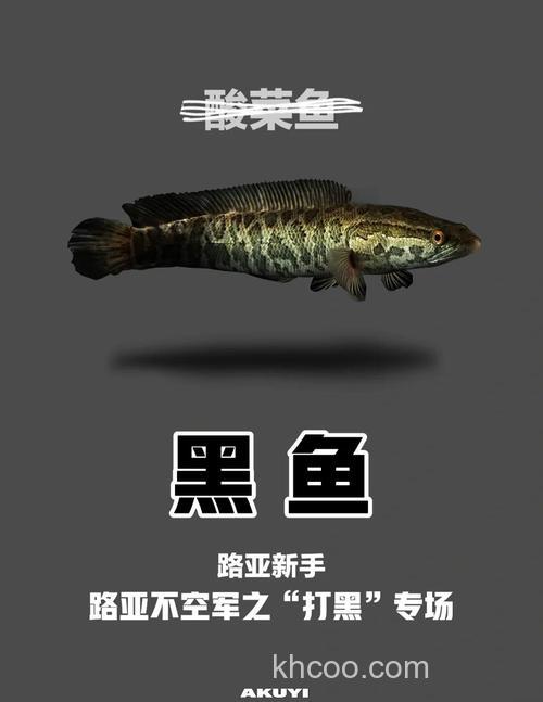 初夏钓黑鱼攻略技巧分享