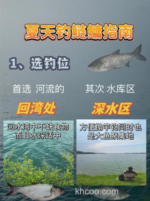 初夏如何钓鲢鳙能钓到吗？