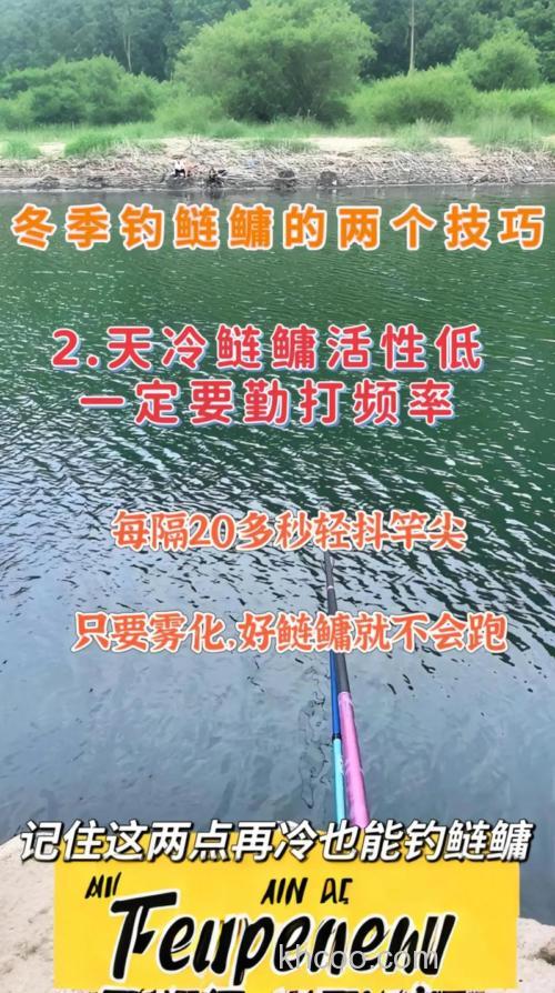 冬天如何钓鲢鳙