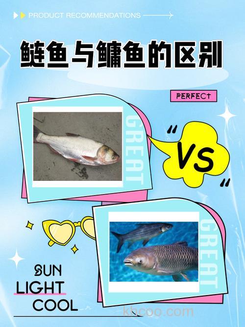 鲢和鳙有什么特点？