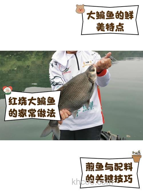 长江钓鱼，野钓鳊鱼分析教学