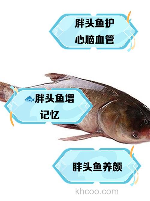鳙和鲢的含脂量不同的原因是什么？