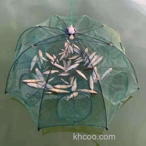 地笼捕鱼用什么诱饵