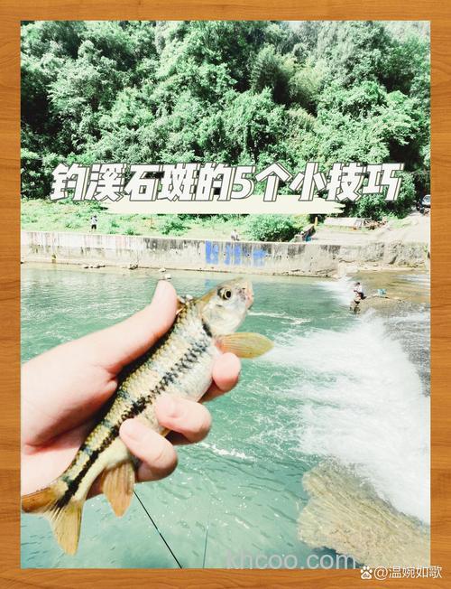 溪石斑用什么钓最好钓？