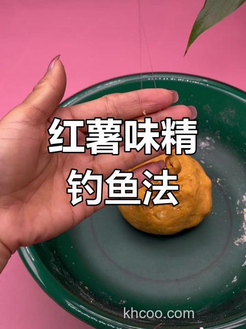 红薯可以钓到鲫鱼吗？