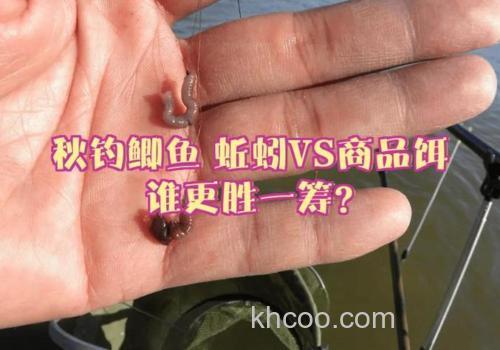 用蚯蚓和商品饵钓鱼哪个更好？