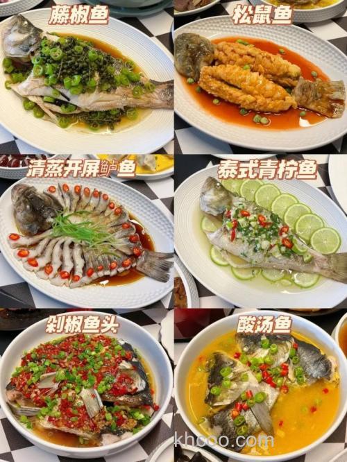 如何在家自制鱼食