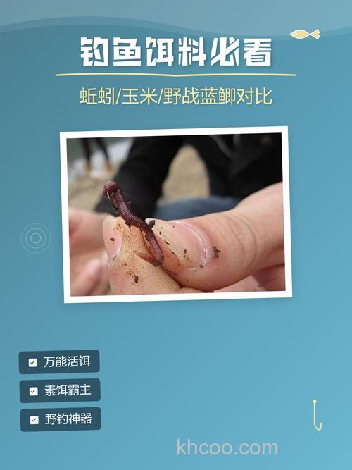 野战蓝鲫和蚯蚓哪个好？