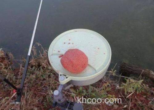 蚯蚓白糖水钓鱼效果？