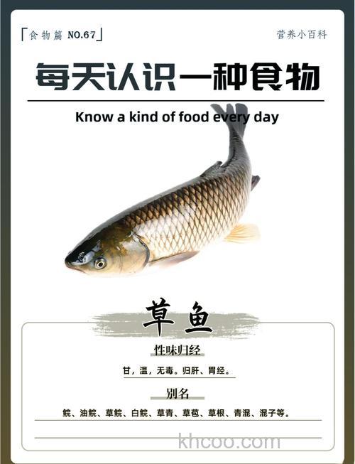 野草鱼吃什么？