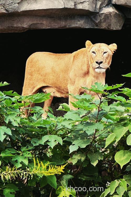 湖州还有哪些保护动物？