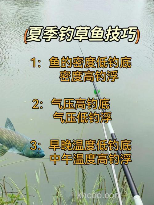 夏季怎样钓草鱼