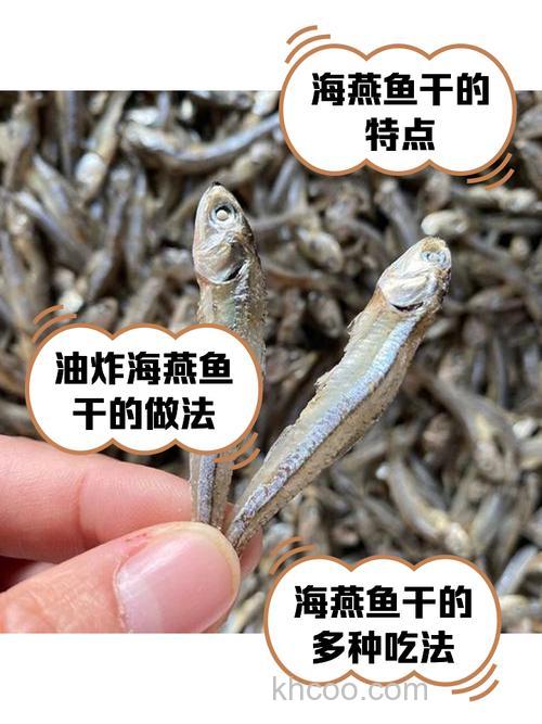 燕鱼爱吃什么干鱼饵