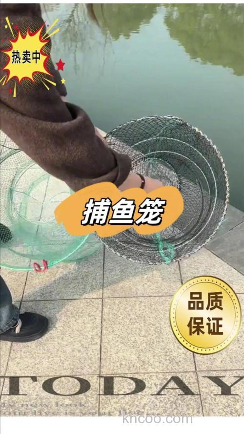 弹簧笼捕鱼 诱饵用什么好 鲤鱼
