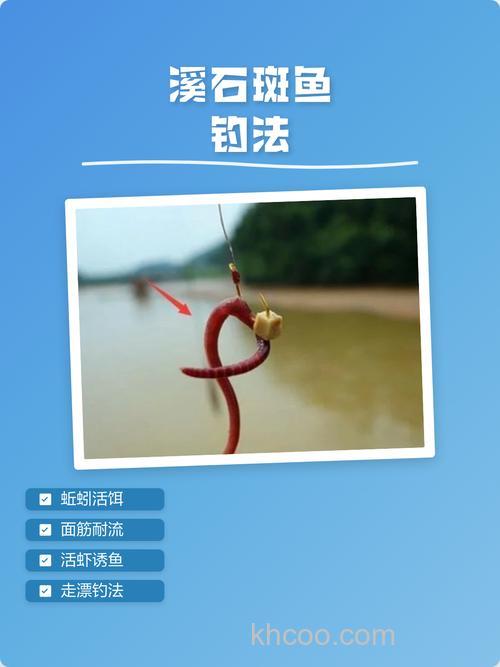 溪石斑鱼用什么饵料钓最好？溪石斑鱼最佳钓法