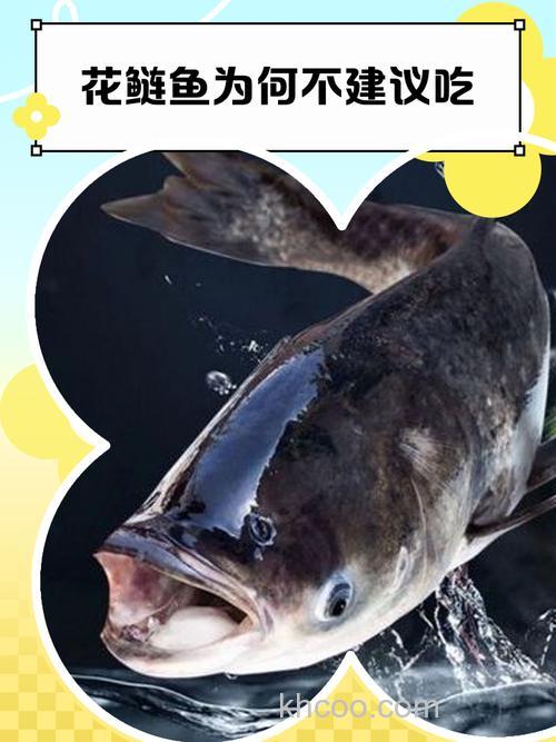 鲢鳙甚至上不了榜，这几种鱼堪称水中蛮牛