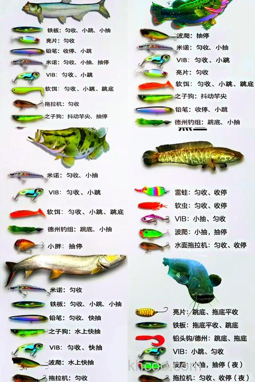 鱼饵名称怎么取？