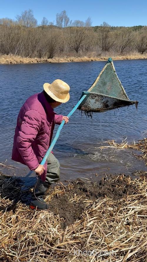 用网子去河里捞鱼用什么食物好？