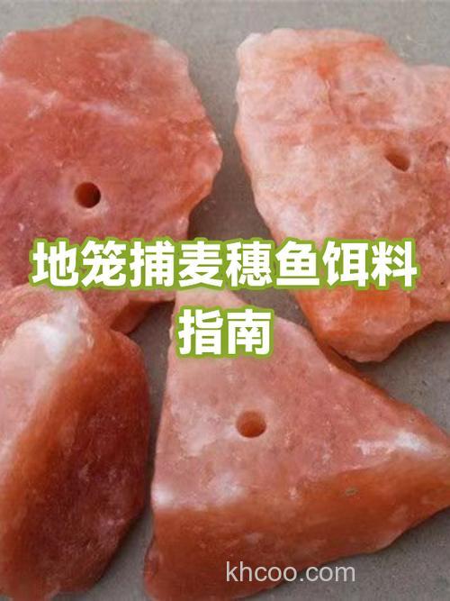 地笼抓麦穗用什么饵料？
