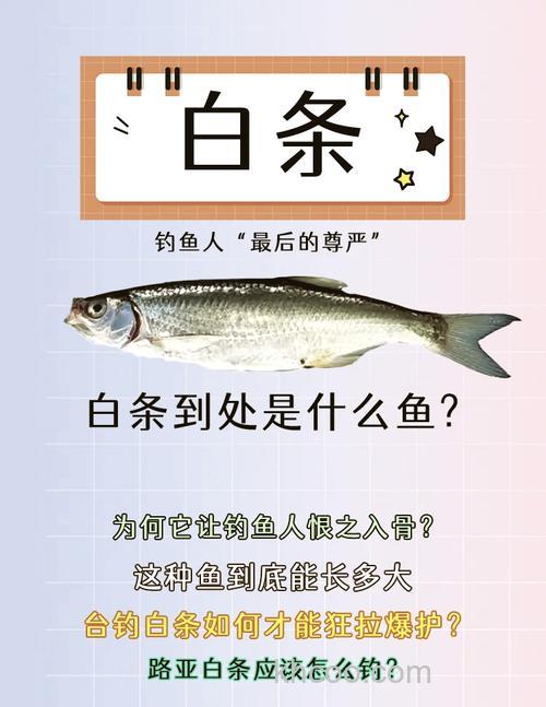 白条太多怎么办