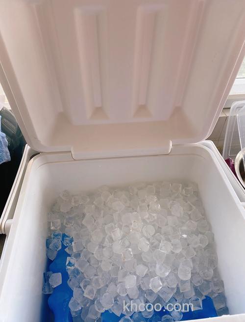 冰箱冷冻盒拿出来可以冻很多东西？