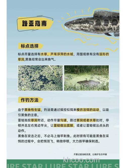 黑鱼习性，钓黑鱼啥时间最好？