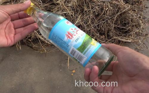 白醋开饵钓什么鱼？