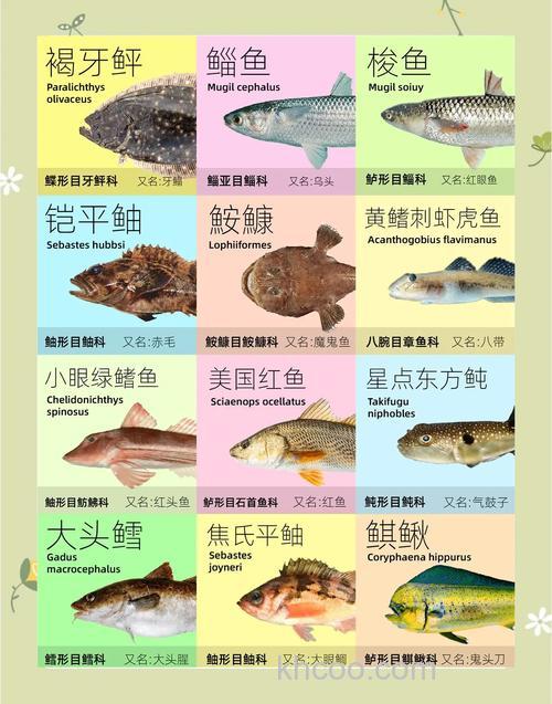 青岛十一月份适合路亚的鱼种？