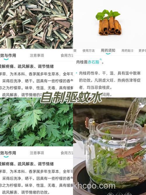 怎么用藿香正气水做鱼饵