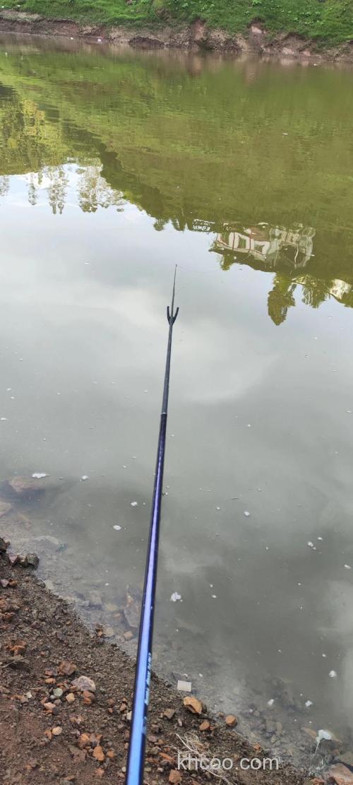 在夏季垂钓罗非鱼的钓法分享