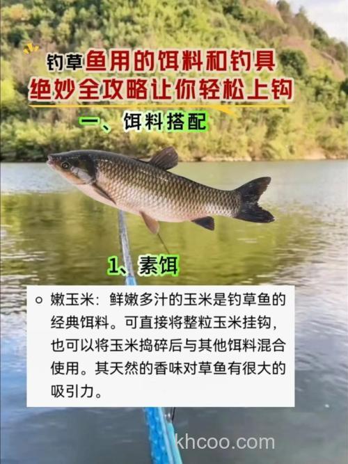 夏天怎么配钓草鱼的饵料呀