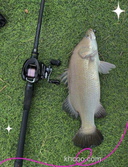 11月路亚钓什么鱼最好？