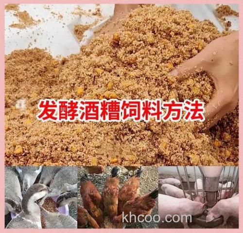 酒糟饲料怎么做？