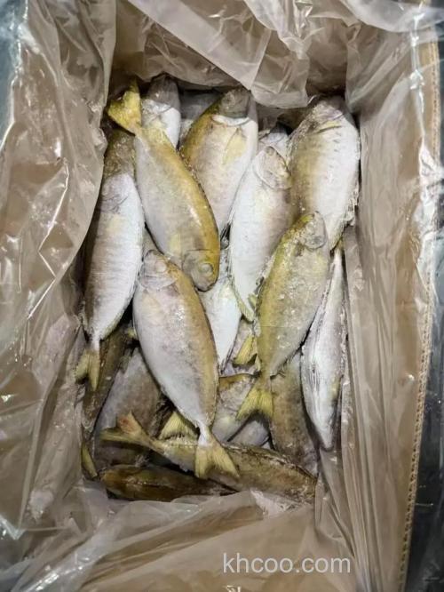 饵料加柠檬酸适合钓什么鱼？