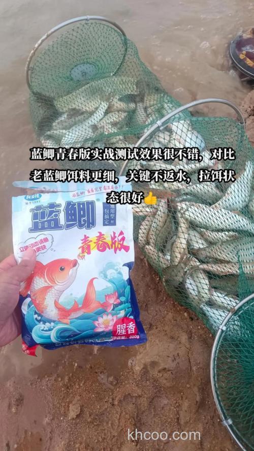 龙王恨的野战蓝鲫和蓝鲫如何使用？