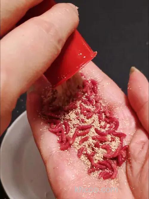 假蛆虫钓鱼效果怎么样？