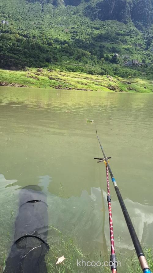 金沙江野钓用什么鱼饵？